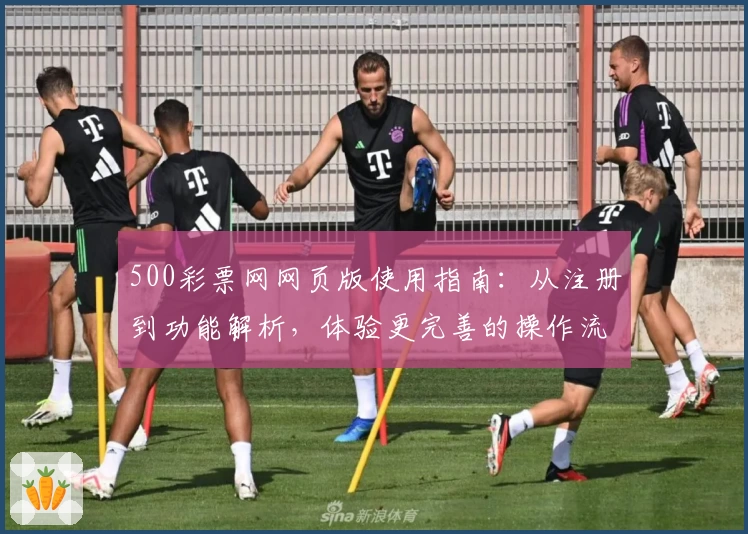 500彩票网网页版使用指南：从注册到功能解析，体验更完善的操作流程