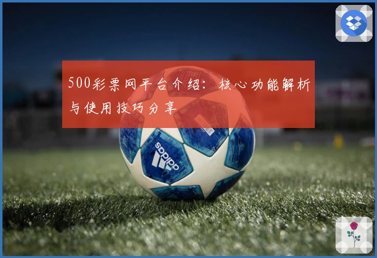 500彩票网平台介绍:核心功能解析与使用技巧分享