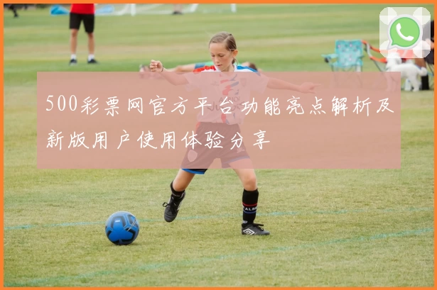 500彩票网官方平台功能亮点解析及新版用户使用体验分享