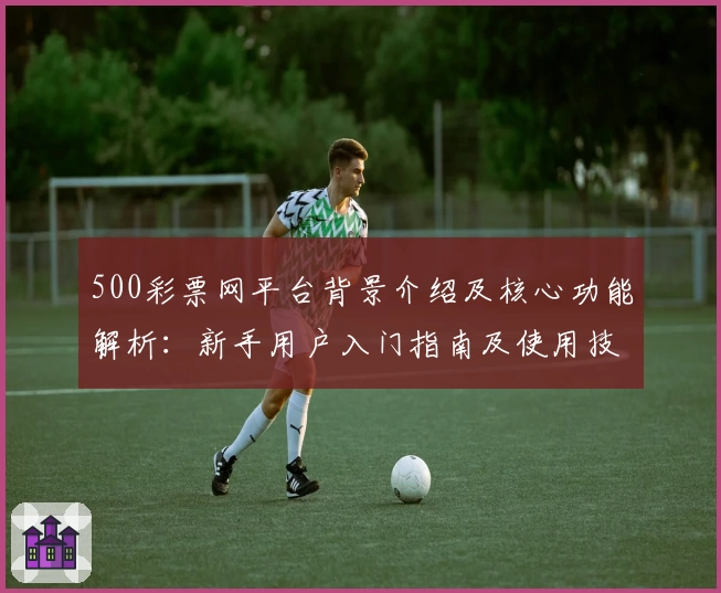 500彩票网平台背景介绍及核心功能解析：新手用户入门指南及使用技巧分享